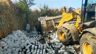 إزالة 17 حالة تعدٍ على الأراضي الزراعية ضمن الموجة الـ 28 بأسيوط