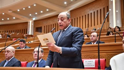 محمد عباس حلمي رئيسًا للجنة الدفاع بمجلس النواب