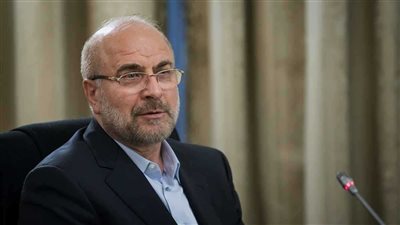 رئيس البرلمان الإيراني: الأوضاع باتت تحت السيطرة والشعب سيقضي على الفتنة 