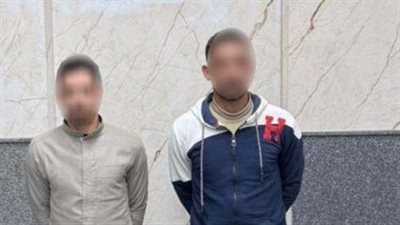 الأمن يكشف ملابسات فيديو التعدي على سيدة بالبحيرة