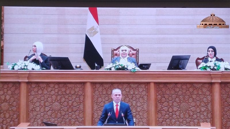 النائبة عبلة الهواري