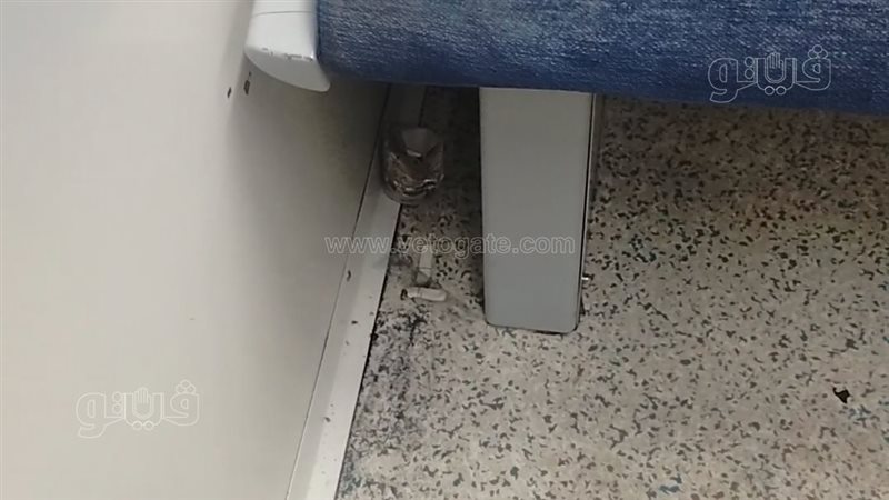 القطار،فيتو