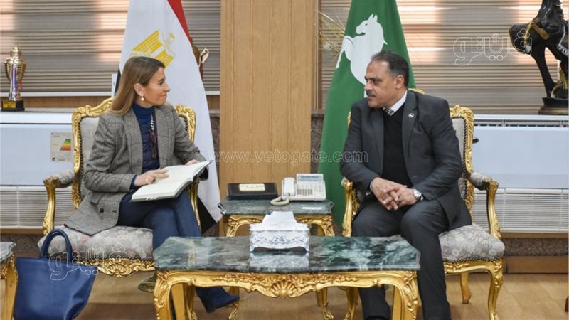  التعاون المشترك
