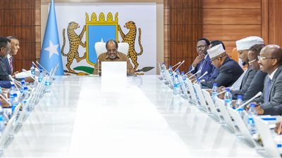 بما فيها المؤاني، مجلس الوزراء الصومالي يقرر إلغاء جميع الاتفاقيات المبرمة مع الإمارات