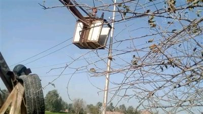 سقوط شجرة و4 أعمدة إنارة بديرب نجم، خسائر محدودة بالشرقية جراء الطقس السيئ (صور)