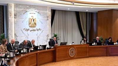 رئيس الوزراء يتابع مشروع إنتاج الهيدروجين الأخضر بقدرة 100 ميجاوات بالمنطقة الاقتصادية لقناة السويس