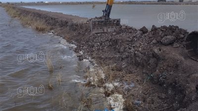 إزالة 7 مزارع سمكية مخالفة ببورسعيد (صور)