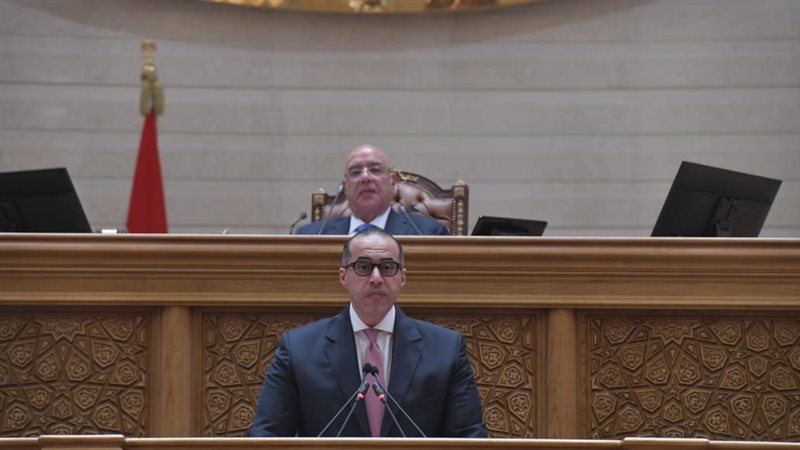 محمود فوزى
