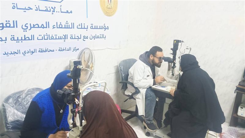 قافلة مجلس الوزراء،