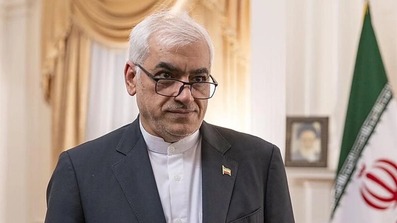 السفير الإيراني في