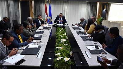 محافظ أسوان: تطوير الحديقة النباتية ومسجد الطابية ومدخل معبد فيله