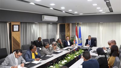 محافظ أسوان: جهود مكثفة لإنجاح منظومة التأمين الصحي الشامل