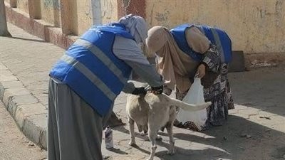 تطعيم 100 كلب ضال بمدينة العبور للوقاية من مرض السعار