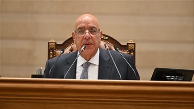 بدء جلسة النواب لإعلان نتائج انتخابات اللجان النوعية 