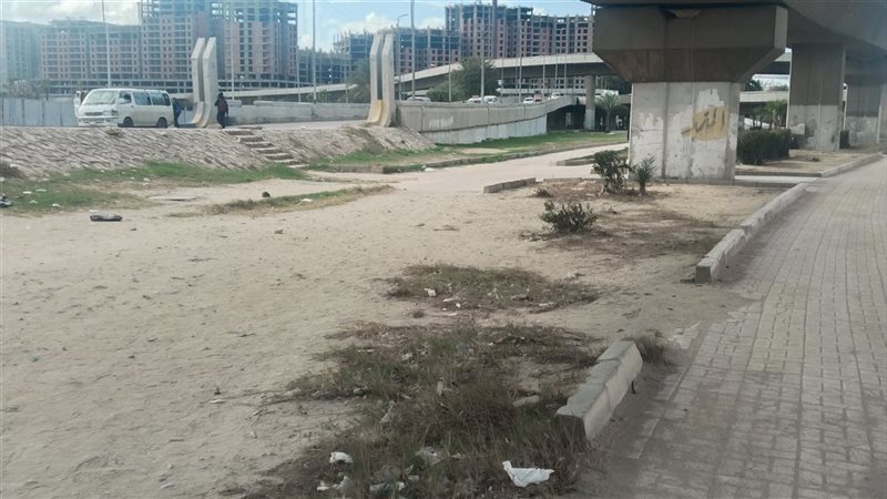 الاسكندريه 
