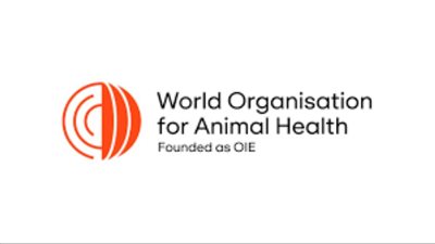 العالمية للصحة الحيوانية تعتمد خلو 22 منشأة داجنة جديدة من إنفلونزا الطيور