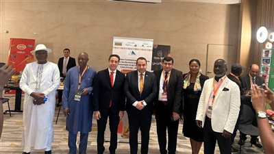 22.3 مليون دولار صادرات الأغذية المصرية إلى كوت ديفوار خلال 11 شهرا