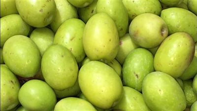 استعدادا لشهر رمضان، طريقة عمل مخلل الزيتون العزيزي 