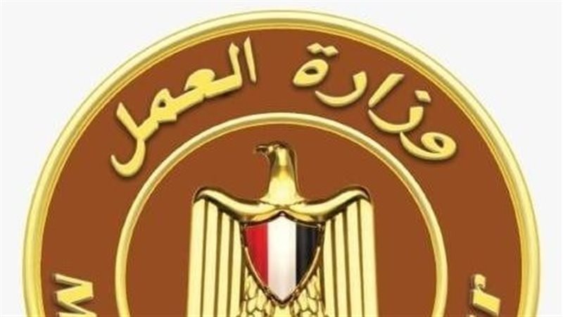 وزارة العمل،فيتو