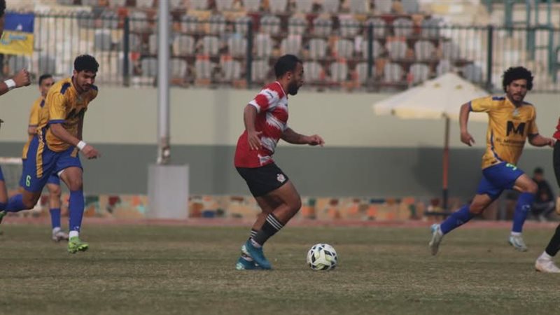 دوري المحترفين