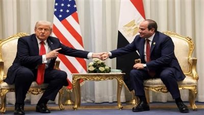 التنسيقية: سد النهضة قضية مصيرية للشعب المصري