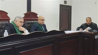 تأجيل محاكمة قاتلة ابنتها الرضيعة بالبحيرة إلي جلسة 15 فبراير