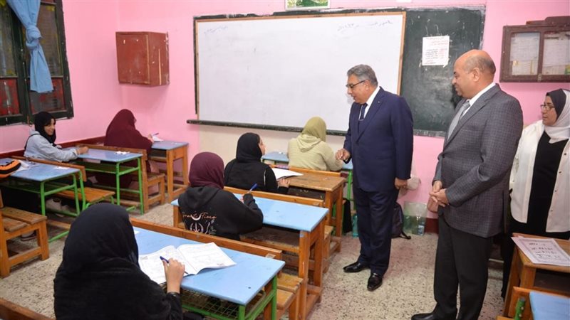 محافظ الدقهلية يتفقد