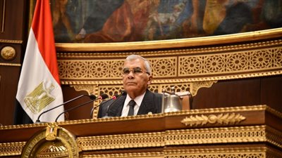  نواب بالشيوخ يطالبون الحكومة برؤية لمواجهة التغيرات المناخية وورد النيل