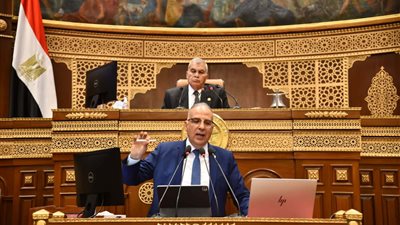 وزير الري يكشف أضرار السد الإثيوبي على مصر، ويوضح موقفه من طلب تعويضات من أديس أبابا 