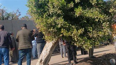  5 نعوش في جنازة واحدة، لحظة دفن الأشقاء ضحايا تسريب الغاز بنها 