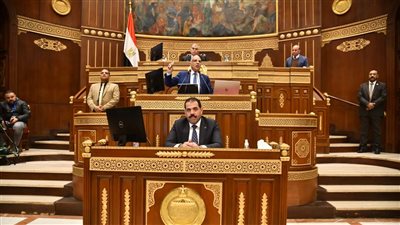 وزير الري: تحديث منظومة السد العالي سنويا، ومشروع ضخم لتوسعة مفيض توشكى 