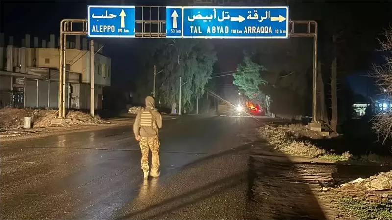 الجيش السوري، فيتو