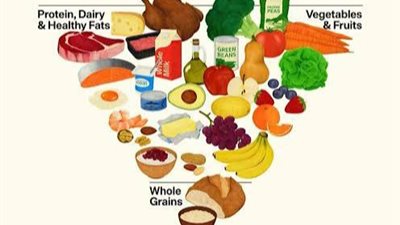 تغييرات جذرية في الهرم الغذائي، لماذا تراجعت النشويات وتصدرت الدهون والبروتين؟