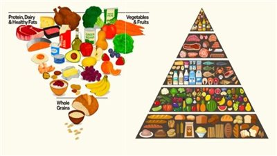  دليل الوجبة الصحية، معهد التغذية يكشف فوائد الهرم الغذائي الجديد