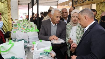 محافظ الإسماعيلية يتفقد 