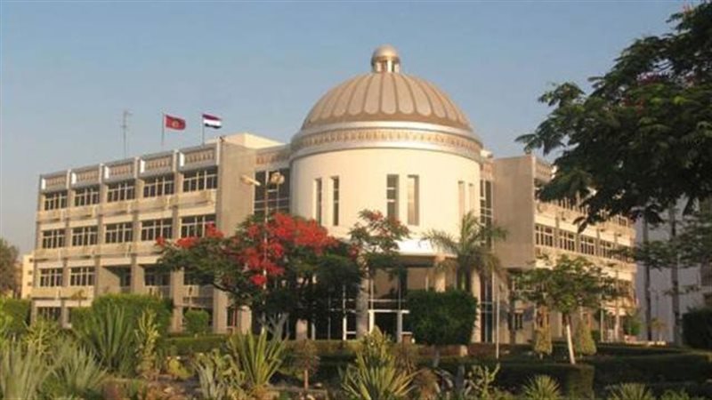 جامعة الفيوم 