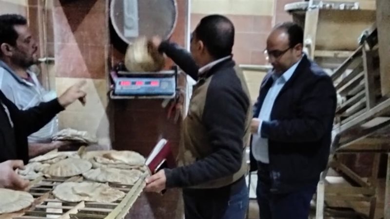 حملات تموينية بالدقهلية،