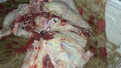 ضبط 225 كيلو لحوم غير صالحة للاستهلاك الآدمي في أسوان (صور)