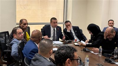 بـ 10 ملايين دولار، لجنة برلمانية توافق على منحة لتطوير صناعة السيارات الخضراء 