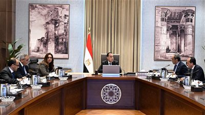 رئيس الوزراء يتابع مع محافظ قنا الموقف التنفيذي للمشروعات التنموية والخدمية