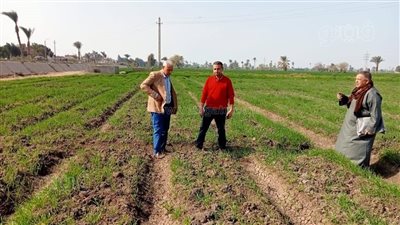 حملة ميدانية لبحث مشاكل ومطالب مزارعي مركز ببا ببني سويف