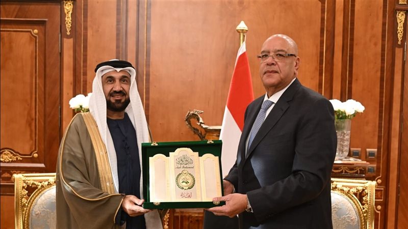 المستشار هشام بدوي