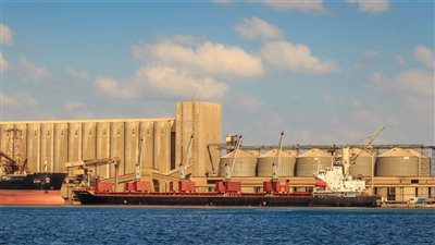 ​ميناء دمياط يستقبل 60 ألف طن من القمح الروسي لصالح القطاع العام