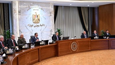 قرارات الحكومة، التعاقد مع شركة يابانية لتدريس البرمجة والذكاء الاصطناعي لطلاب التعليم الفني 