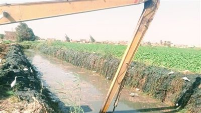 هندسة ري سنورس بالفيوم تشن حملة تطهير للمجاري المائية خلال السدة الشتوية