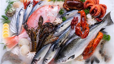 سعر السمك اليوم، البلطي يتجاوز الـ 50 جنيها وانخفاض 3 أصناف 10 جنيهات