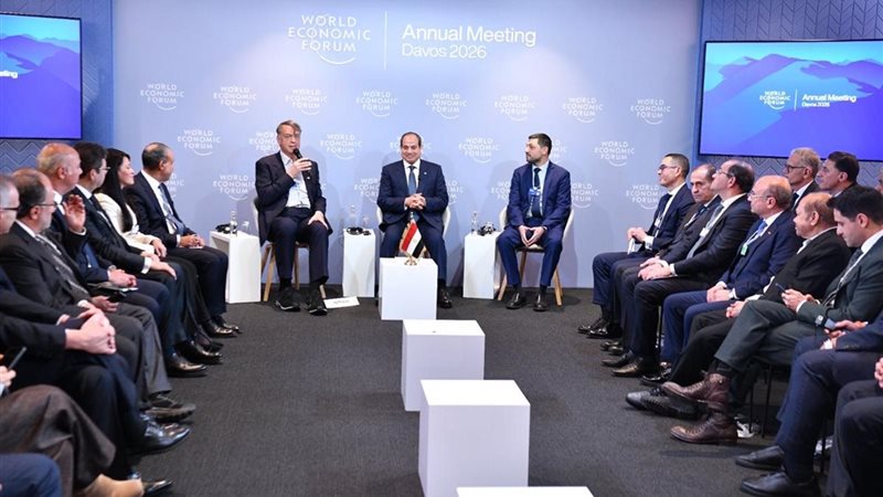 الرئيس السيسي ونخبة