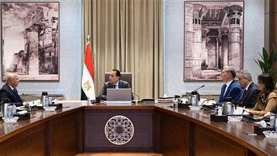 مدبولي يستعرض جهود تعظيم الاستفادة من الخامات التعدينية والمحجرية في مصر