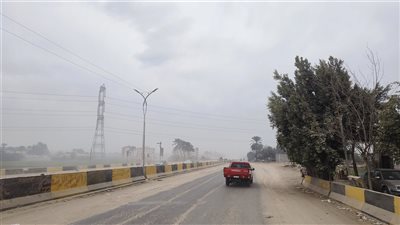 تقلبات جوية وسماء ملبدة بالغيوم في الدقهلية (فيديو) 