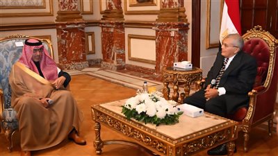 تفاصيل لقاء رئيس مجلس الشيوخ وسفير المملكة العربية السعودية
